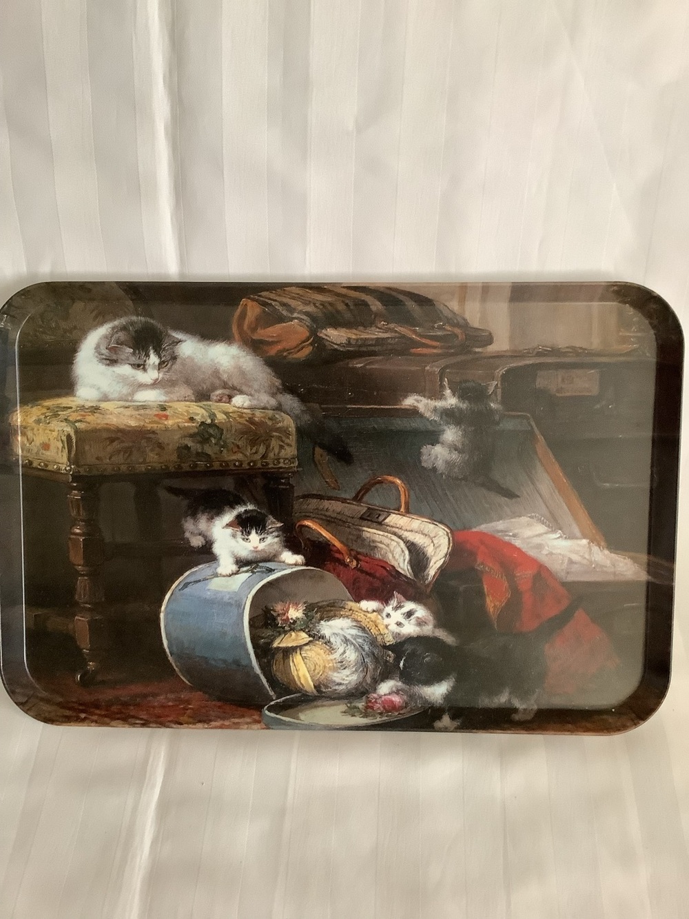 Tray with Cats and Kittens - by Jason